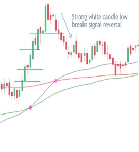 long white candle